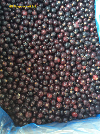 ВЕС. ЧЕРНАЯ СМОРОДИНА (Китай)